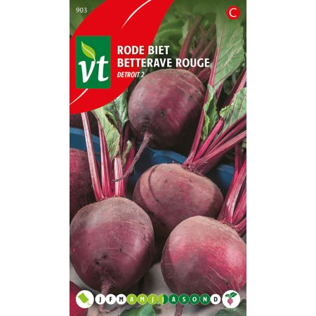 Betterave Rouge Detroit  - Rode Biet Detroit 2