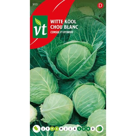 Chou Blanc Consul F1 Hybride - Witte Kool Consul F1 Hybride