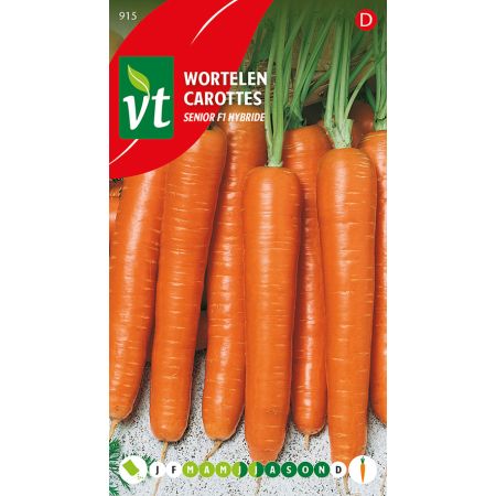 Carottes Senior F1 Hybride - Wortelen Senior F1 Hybride