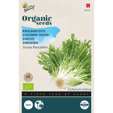 Buzzy Organic Chicorée Frisée Grosse Pancalière (BIO) - Buzzy Organic Krulandijvie Grosse Pancalière  (BIO)