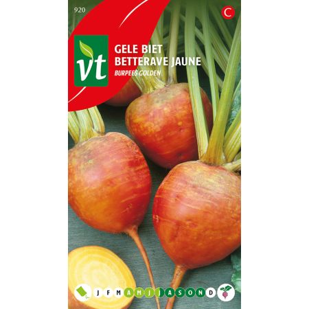 Betterave Jaune Burpees Golden - Gele Biet Burpees Golden