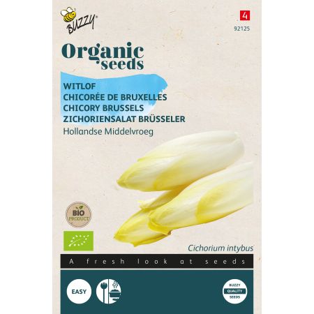 Buzzy Chicorée de Bruxelles Hollandse Middelvroeg- Bio Semences