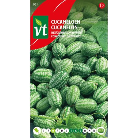 Cucamelon Concombre Du Mexique - Cucameloen Mexicaanse komkommer