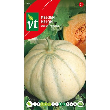 Melon Stellio F1 Hybride - Meloen Stellio F1 Hybride