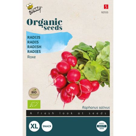 Buzzy Organic Radis Raxe - Bio Semences