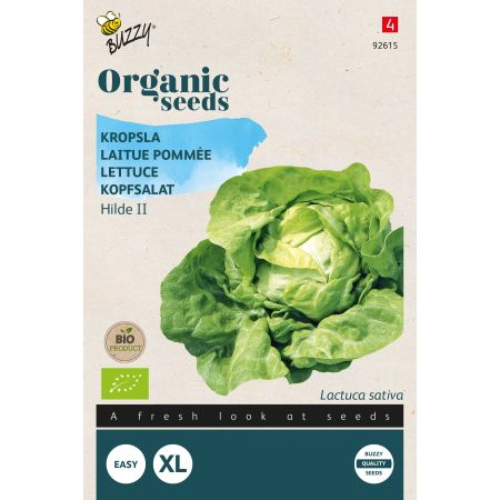 Buzzy Organic Laitue pommée Hilde II - Bio Semences