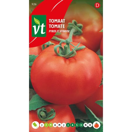 Tomate Pyros F1 Hybride - Tomaat Pyros F1 Hybride