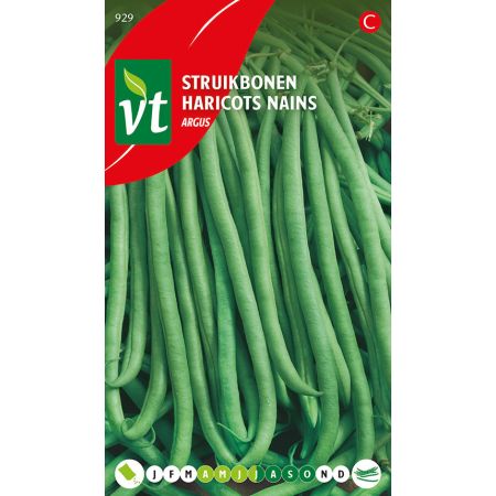 Haricots Nains Argus - Boon Struikbonen Argus