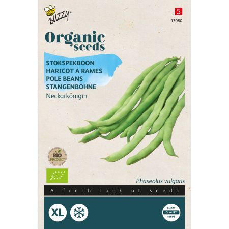 Buzzy Organic Haricot à rames Reine du Neckar - Bio Semences