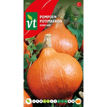 Potimarron Uchiki Kuri - Pompoen Uchiki Kuri