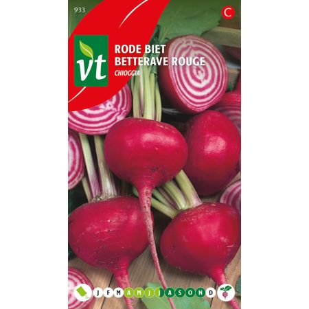 Betterave Rouge Chioggia - Rode Biet Chioggia