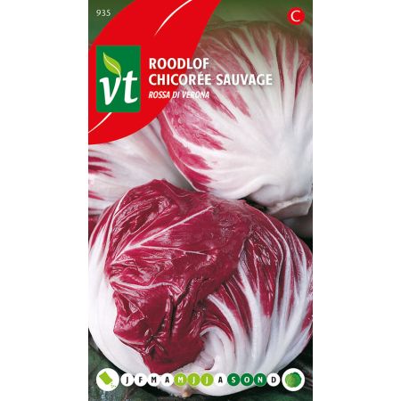 Chicoree Rossa Di Verona - Roodlof Rossa di Verona