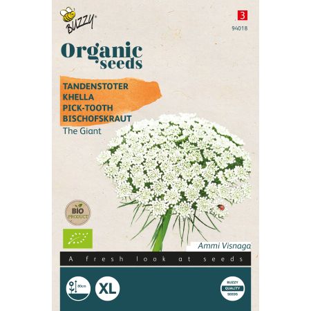 Buzzy Organic Khella The Giant - Bio Semences