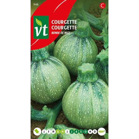 Courgette Ronde De Nice