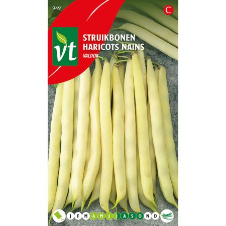 Haricots Nains Valdor