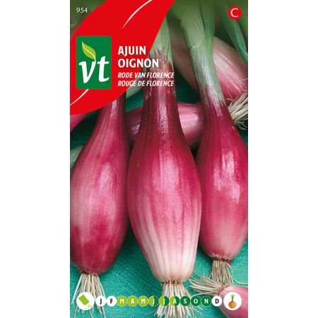 Oignon Rouge De Florence