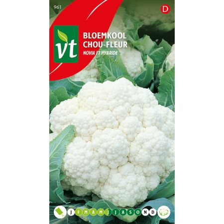 Chou-Fleur Siria F1 Hybride - Bloemkool Novia F1 hybride