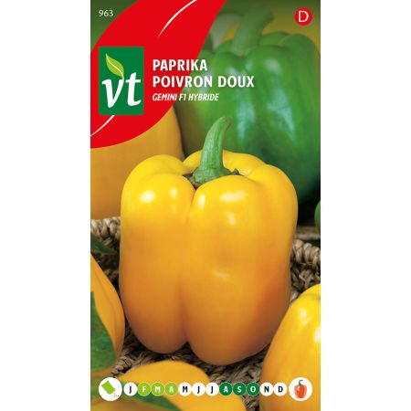 Poivron Doux Goldenstar F1 Hybride - Paprika Goldenstar F1 Hybride