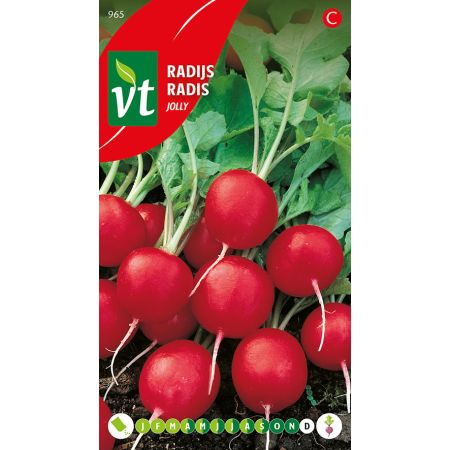 Radis Jolly - Radijs Jolly