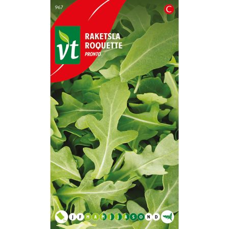 Roquette Pronto - Raketsla Pronto