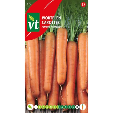 Carottes Flyaway F1 Hybride - Wortelen Flayaway F1 Hybride