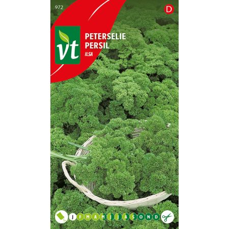 Persil Ilsa - Peterselie Ilsa