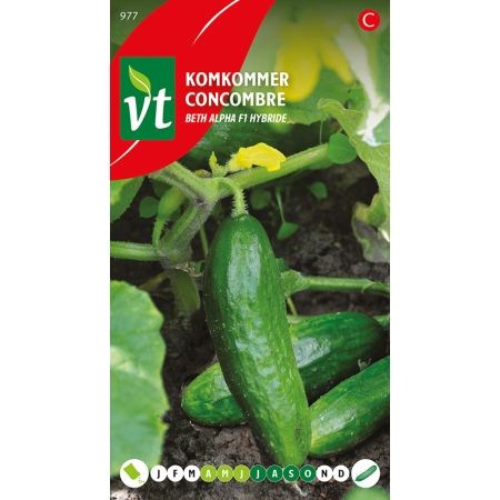 Concombre Beth Alpha F1 Hybride - Komkommer Mini Beth Alpha F1