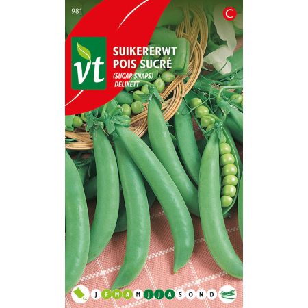 Pois Mangetout Delikett - Erwten Delikett