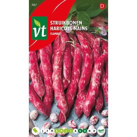 Haricots Nains Flambo - Bonen Flambo
