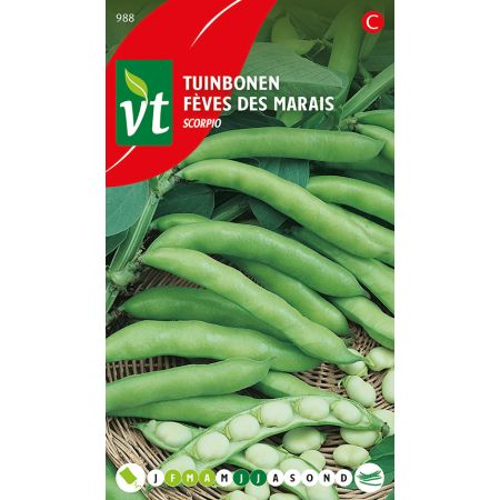 Feves Des Marais Scorpio  - Bonen Tuinbonen Scorpio